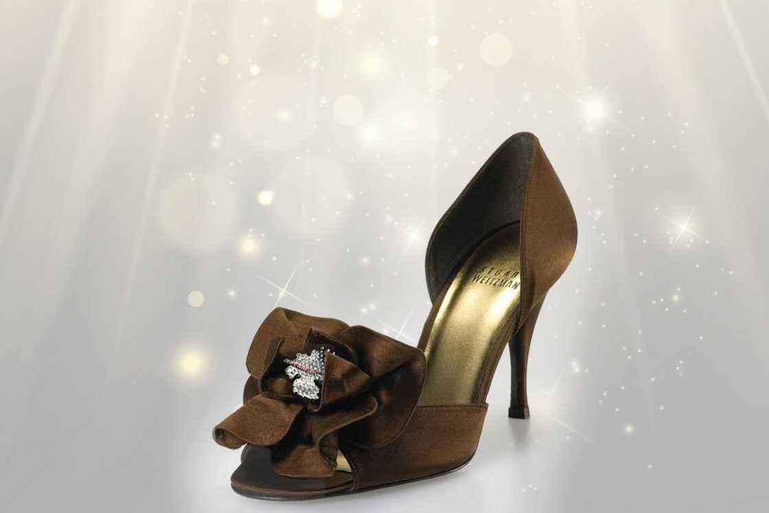 Stuart Weitzman Rita Hayworth Heels sits on a grey background Stuart Weitzman Rita Hayworth Heels sits on a grey background