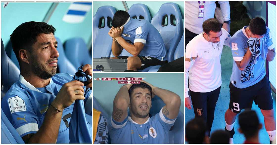 Luis Suarez Luis Suarez