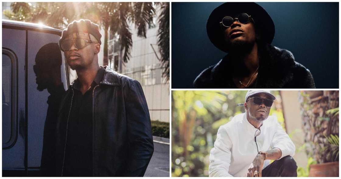 A photo collage of E.L posing A photo collage of E.L posing