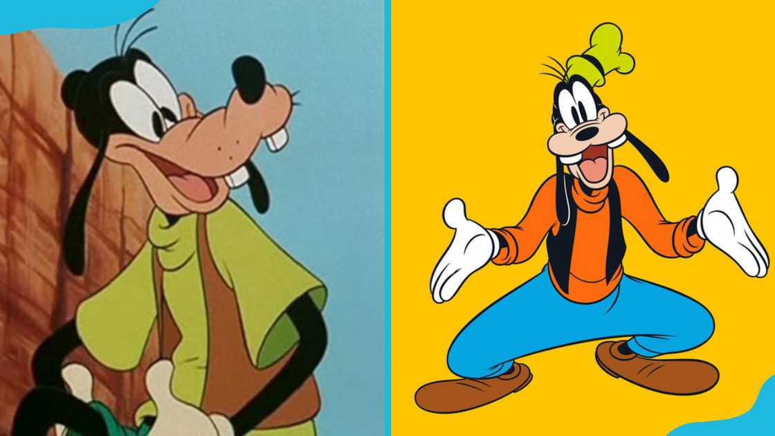 Goofy from Disney Goofy from Disney