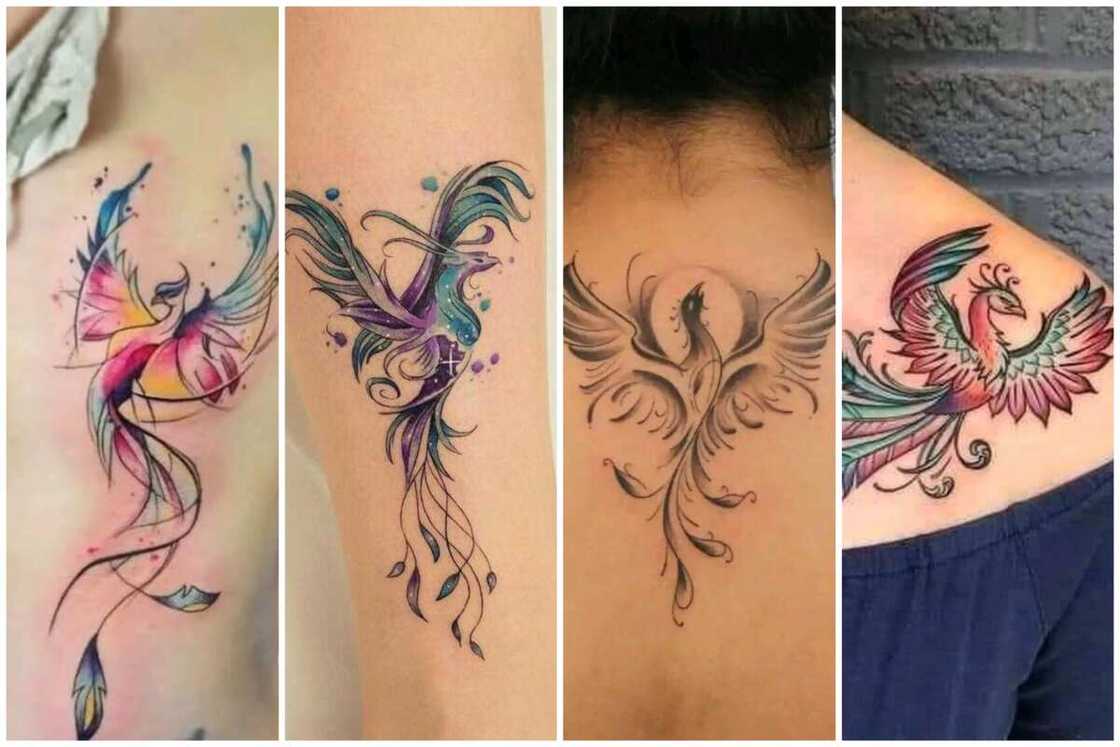 feminine rebirth phoenix tattoo