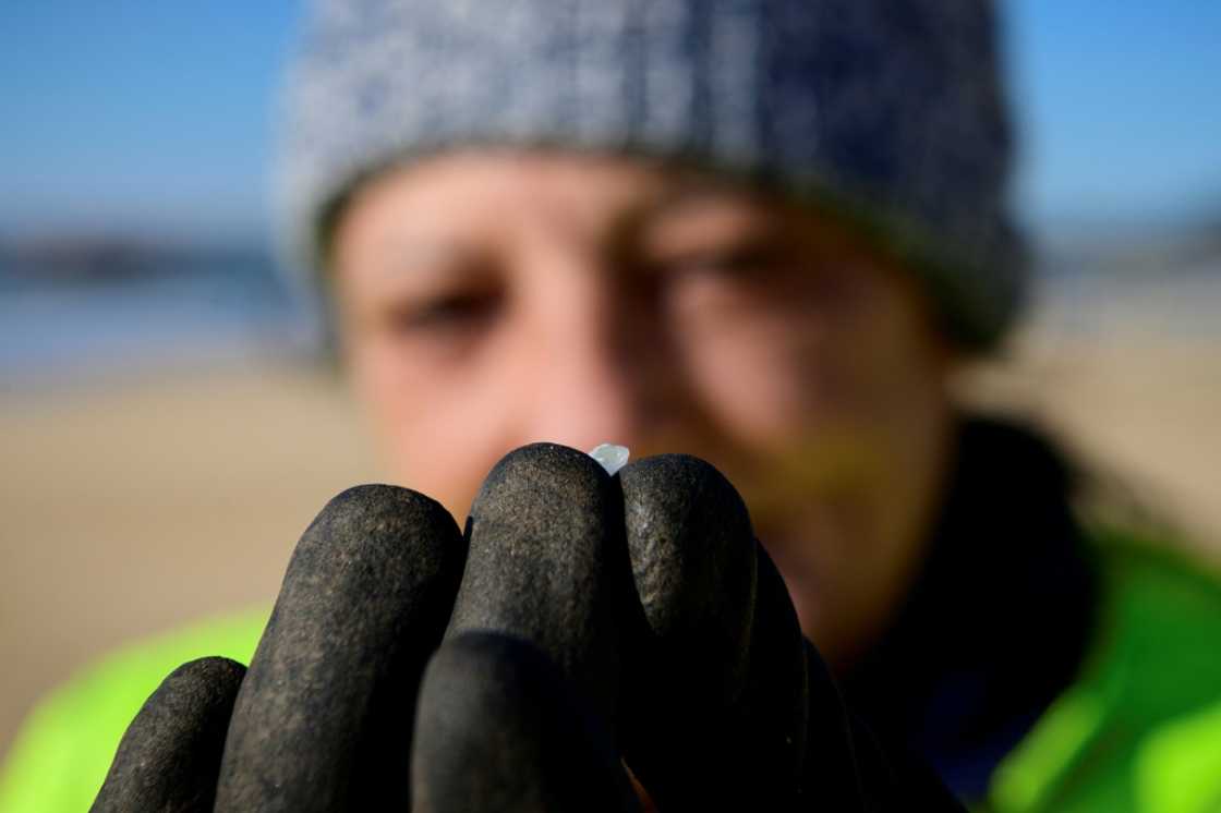 A worker holds a plastic nurdle which washed up at Vilar beach in Corrubedo, northwestern Spain, in 2024 A worker holds a plastic nurdle which washed up at Vilar beach in Corrubedo, northwestern Spain, in 2024