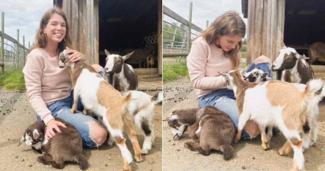 Woman, Wives who dress up, Debate, Husbands, Twitter reactions Woman, Wives who dress up, Debate, Husbands, Twitter reactions