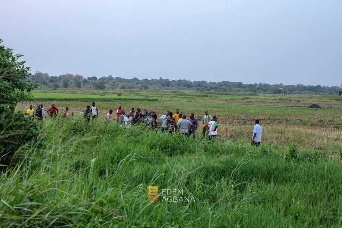 Ketu North, Agric, Jobs, Youth, MP, Local Farmers Ketu North, Agric, Jobs, Youth, MP, Local Farmers