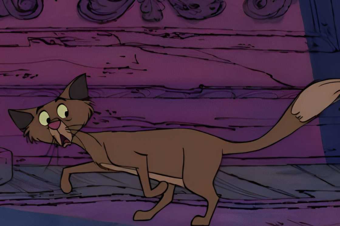 Sergeant Tibbs is walking through a colourful background Sergeant Tibbs is walking through a colourful background