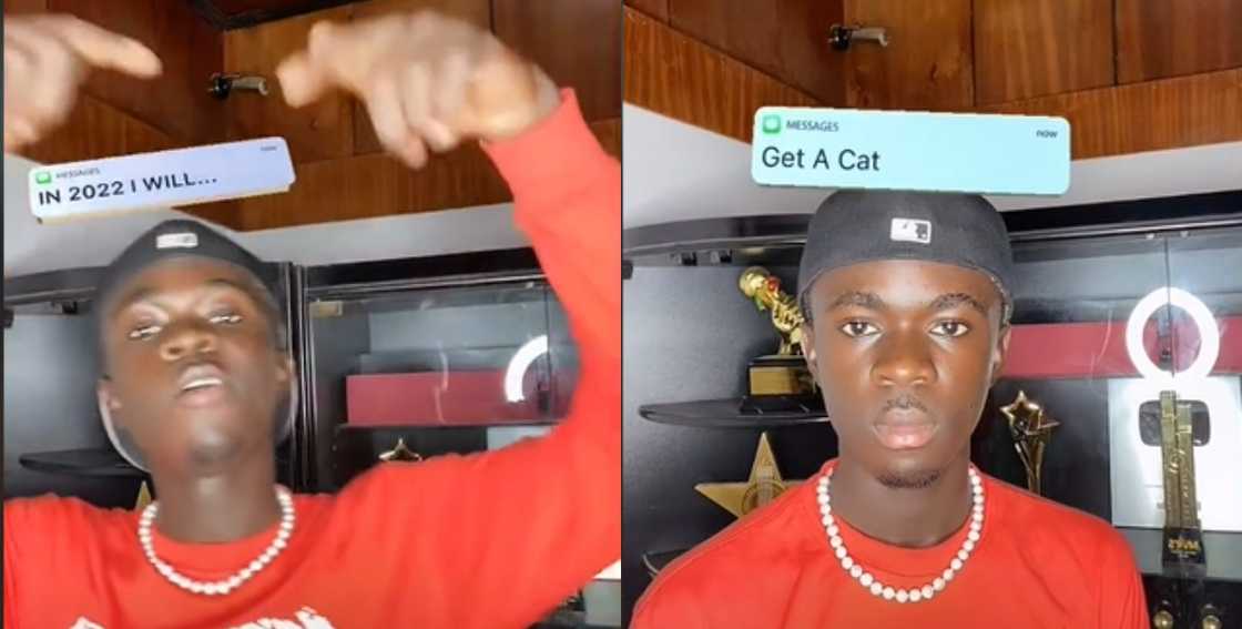 TikTok's Hilarious Prediction About Yaw Tog TikTok's Hilarious Prediction About Yaw Tog