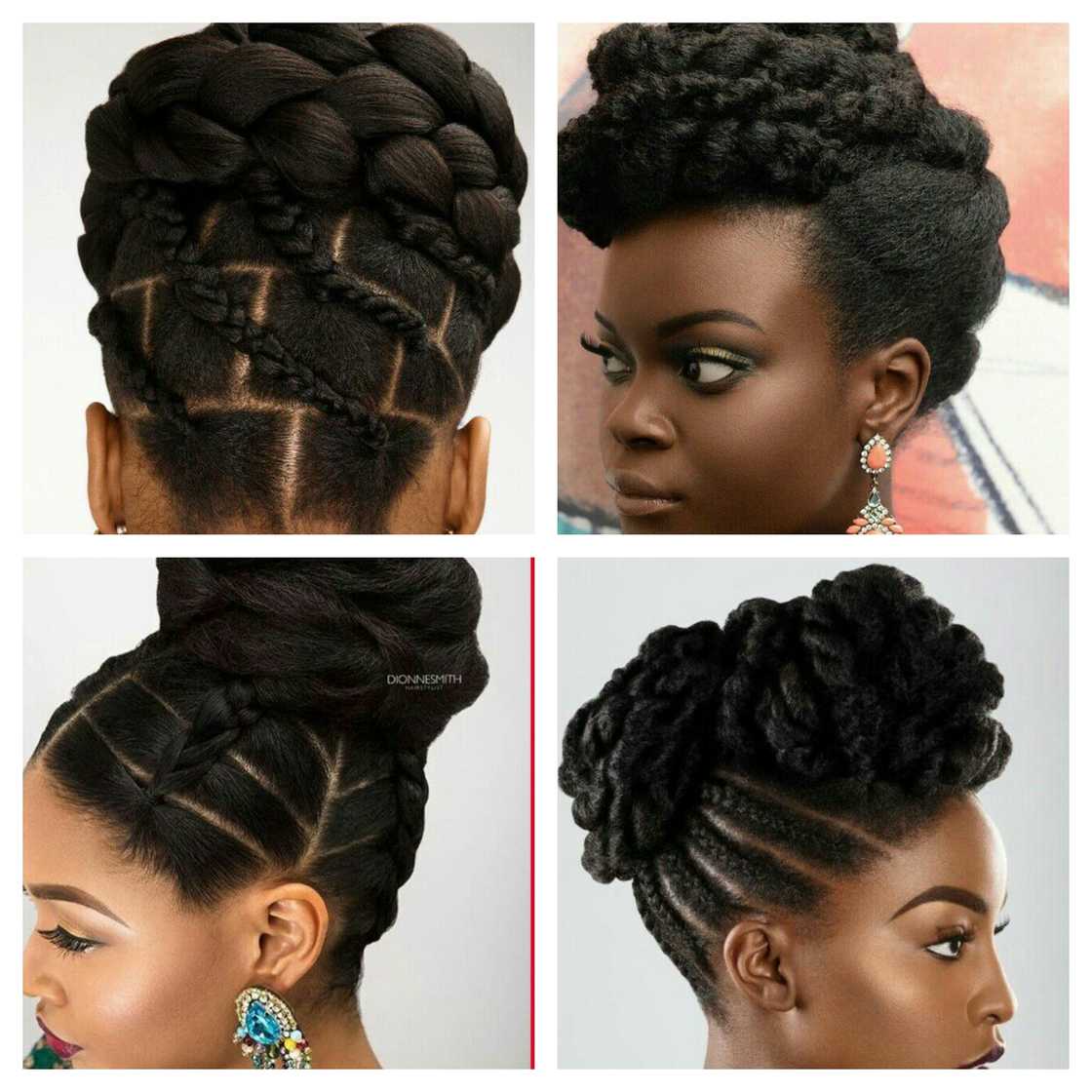 Best natural hair braids hairstyles Best natural hair braids hairstyles