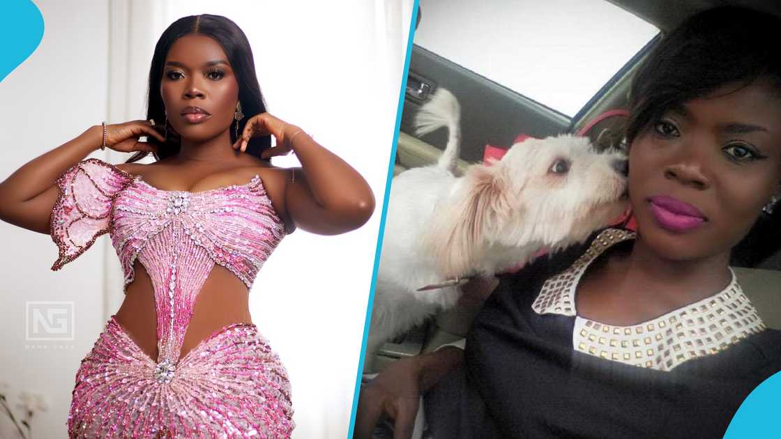 Delay, Delay and her dog, Delay's dog, The Delay Show, Delay's age Delay's dog's name, Biscuit, Delay's dog dies Delay, Delay and her dog, Delay's dog, The Delay Show, Delay's age Delay's dog's name, Biscuit, Delay's dog dies