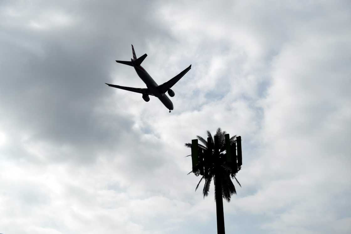 An American Airlines plane flies past a cellular tower disguised as a palm tree as it lands at Los Angeles International Airport (LAX) in California in January  2022