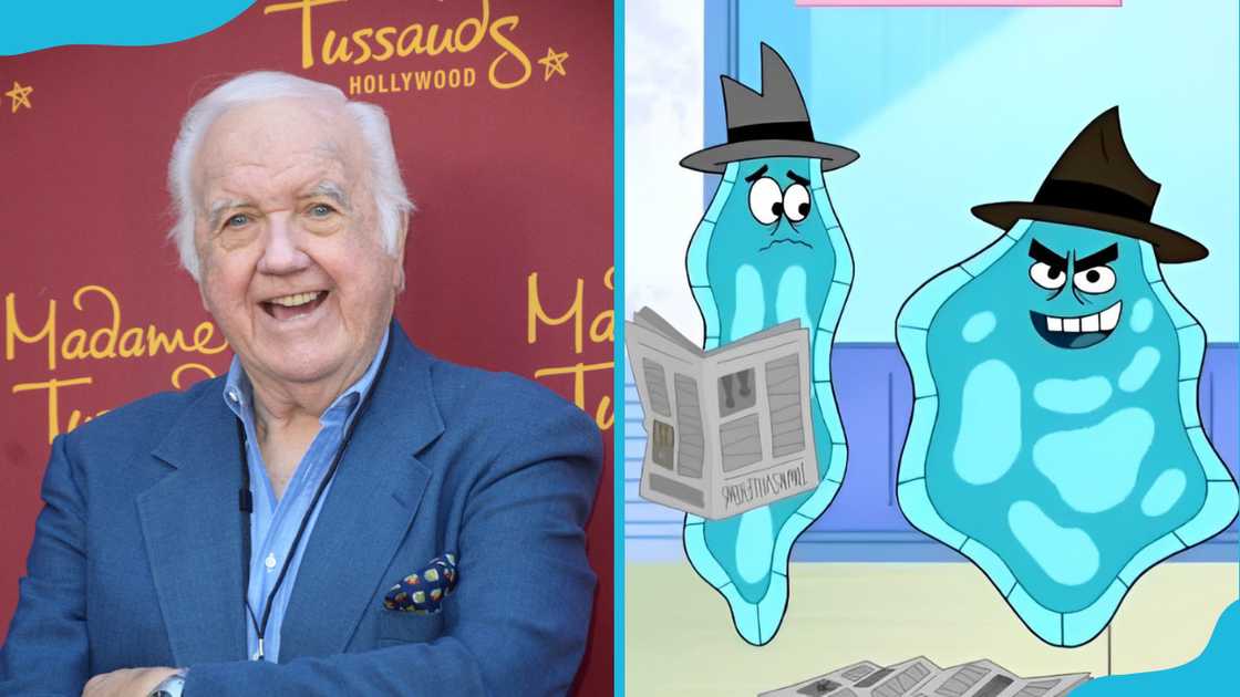 Chuck McCann smiling at Madame Tussauds, alongside the Amoeba Boys. Chuck McCann smiling at Madame Tussauds, alongside the Amoeba Boys.