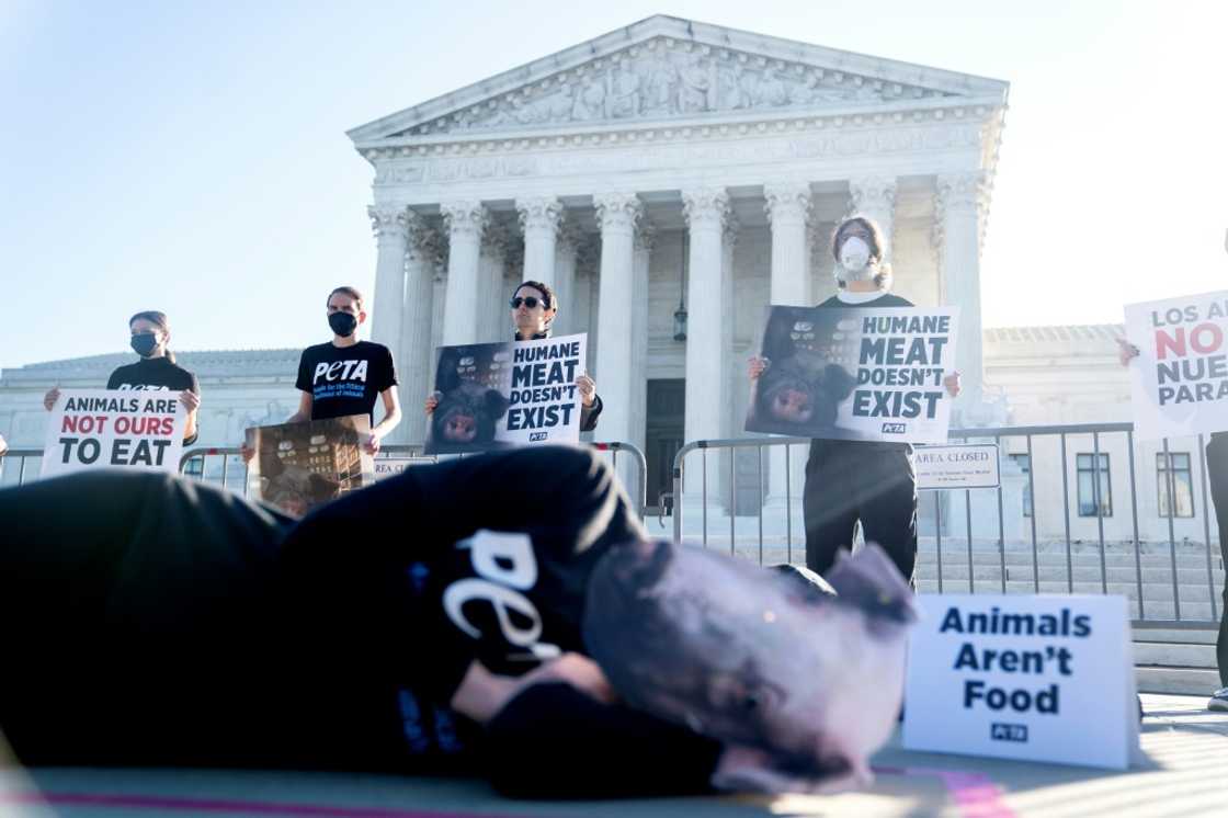 Animal rights activists protest outside the US Supreme Court on October 11, 2022 Animal rights activists protest outside the US Supreme Court on October 11, 2022