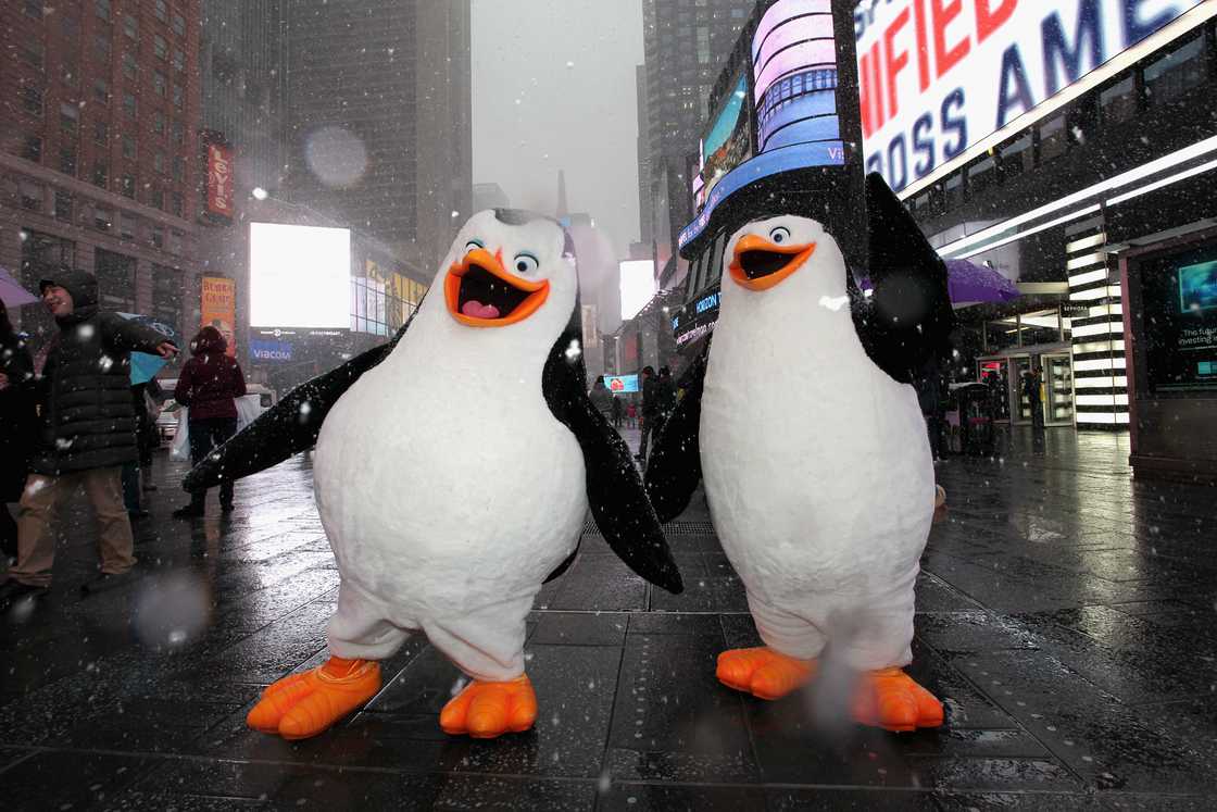 funny cartoon characters funny cartoon characters