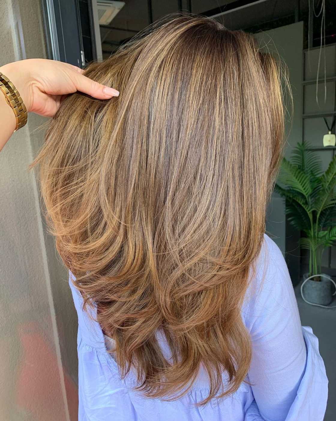 brown hair with blonde highlights