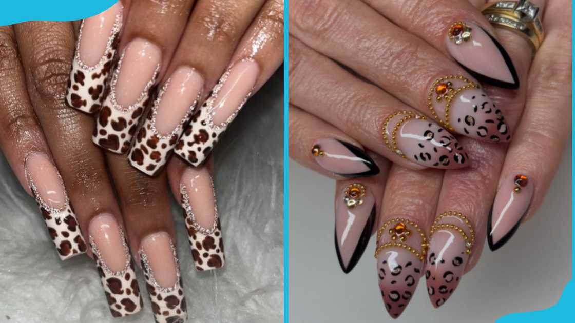 Animal print rhinestone nail designs Animal print rhinestone nail designs