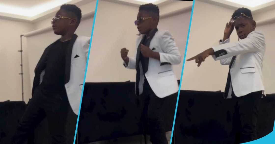 Majesty showcases funny dance moves in a heartwarming video Majesty showcases funny dance moves in a heartwarming video