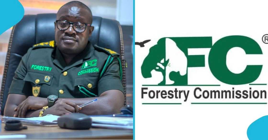 Illegal Miners, Forest Commission, Western Region Illegal Miners, Forest Commission, Western Region