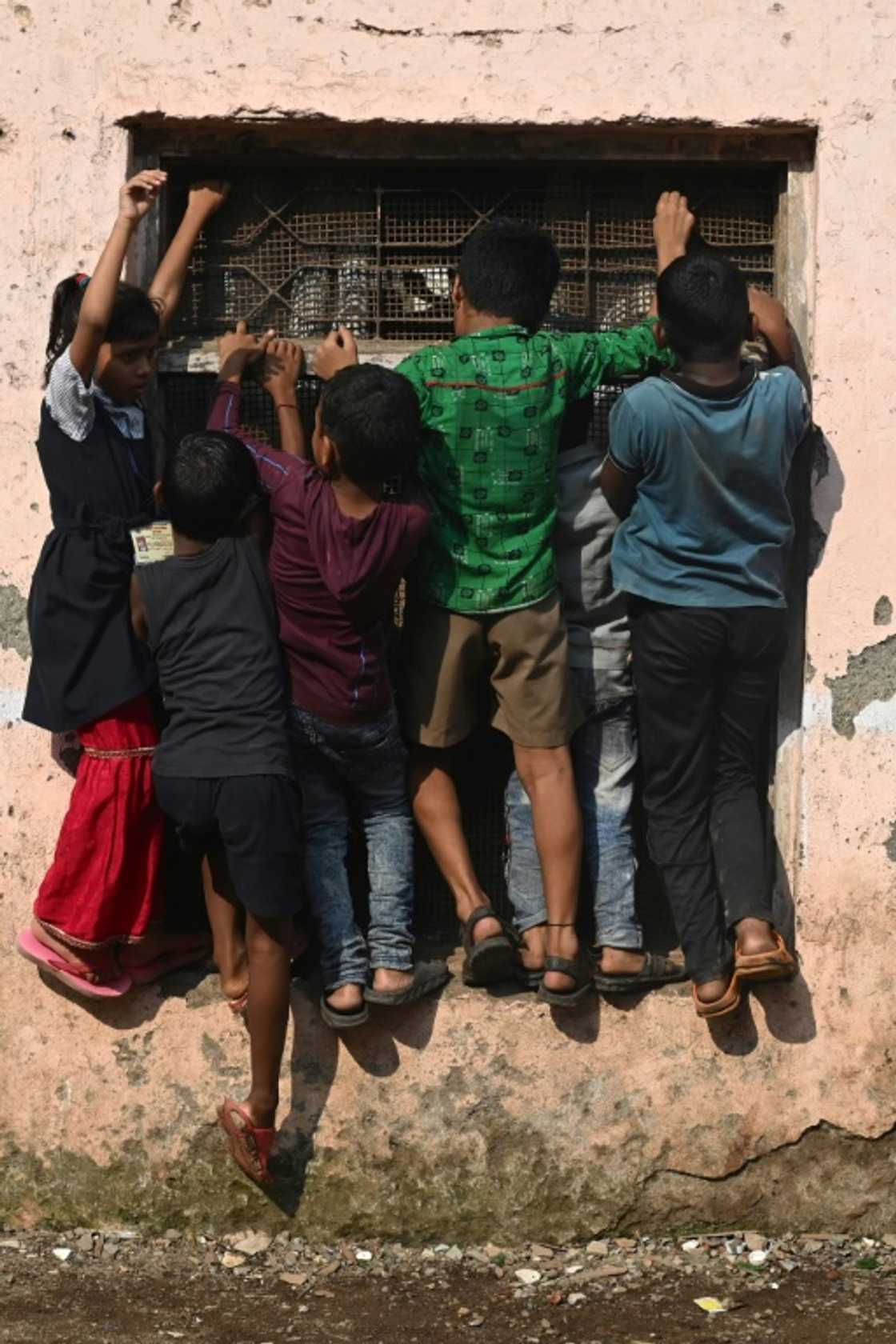 Children in Mumbai's Dharavi slums climb onto a window to catch a glimpse of a promotional event for a cartoon channel Children in Mumbai's Dharavi slums climb onto a window to catch a glimpse of a promotional event for a cartoon channel