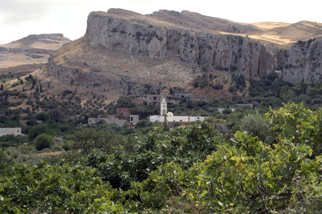 A unique system of terracing aims to protect fig trees from ever-harsher droughts A unique system of terracing aims to protect fig trees from ever-harsher droughts
