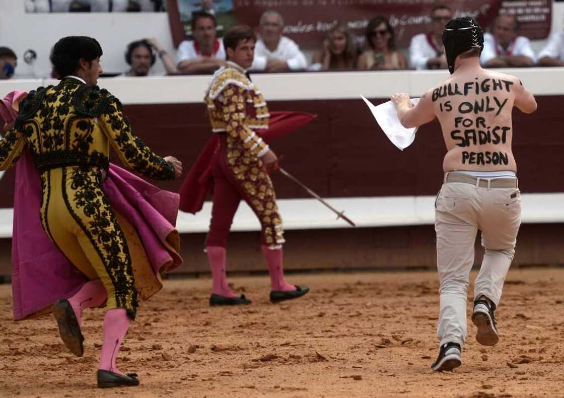 Bullfighting is defended as a local tradition in many towns in southern France Bullfighting is defended as a local tradition in many towns in southern France