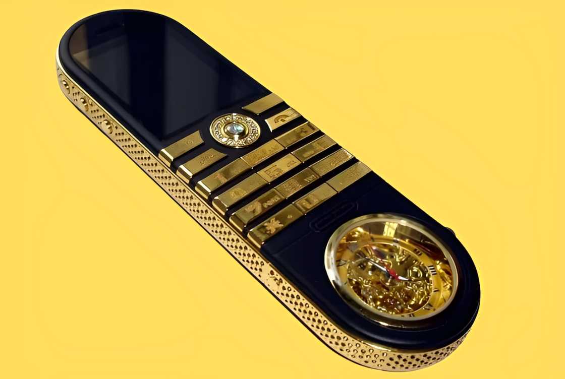 Goldvish Revolution on display Goldvish Revolution on display