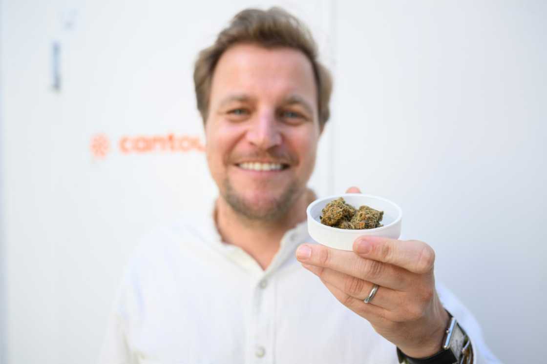 Philip Schetter, CEO of Cantourage, shows a sample of cannabis flowers from the company’s production Philip Schetter, CEO of Cantourage, shows a sample of cannabis flowers from the company’s production