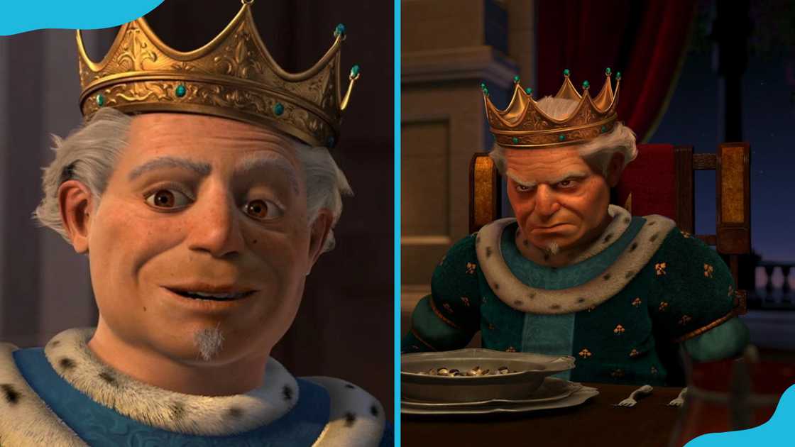 King Harold with a golden crown on his head King Harold with a golden crown on his head