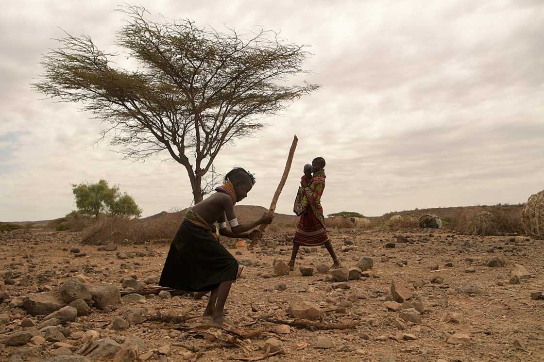 At least 18 million people across the Horn of Africa are facing severe hunger as the worst drought in 40 years devastates the region At least 18 million people across the Horn of Africa are facing severe hunger as the worst drought in 40 years devastates the region