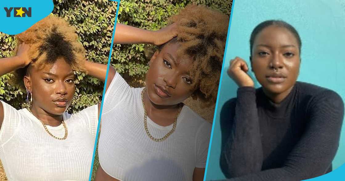 Ama Governor Admits She Sleeps With Women But It's No Grounds Not To Be Called To Bar Ama Governor Admits She Sleeps With Women But It's No Grounds Not To Be Called To Bar