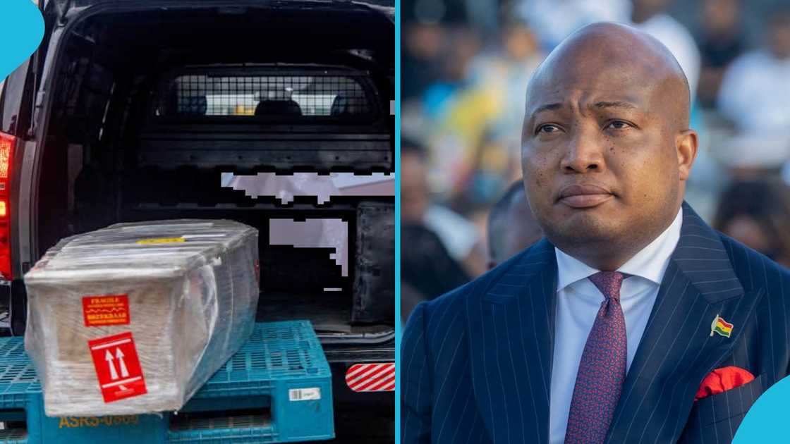 Minister for Foreign Affairs and Regional Integration, Samuel Okudzeto Ablakwa