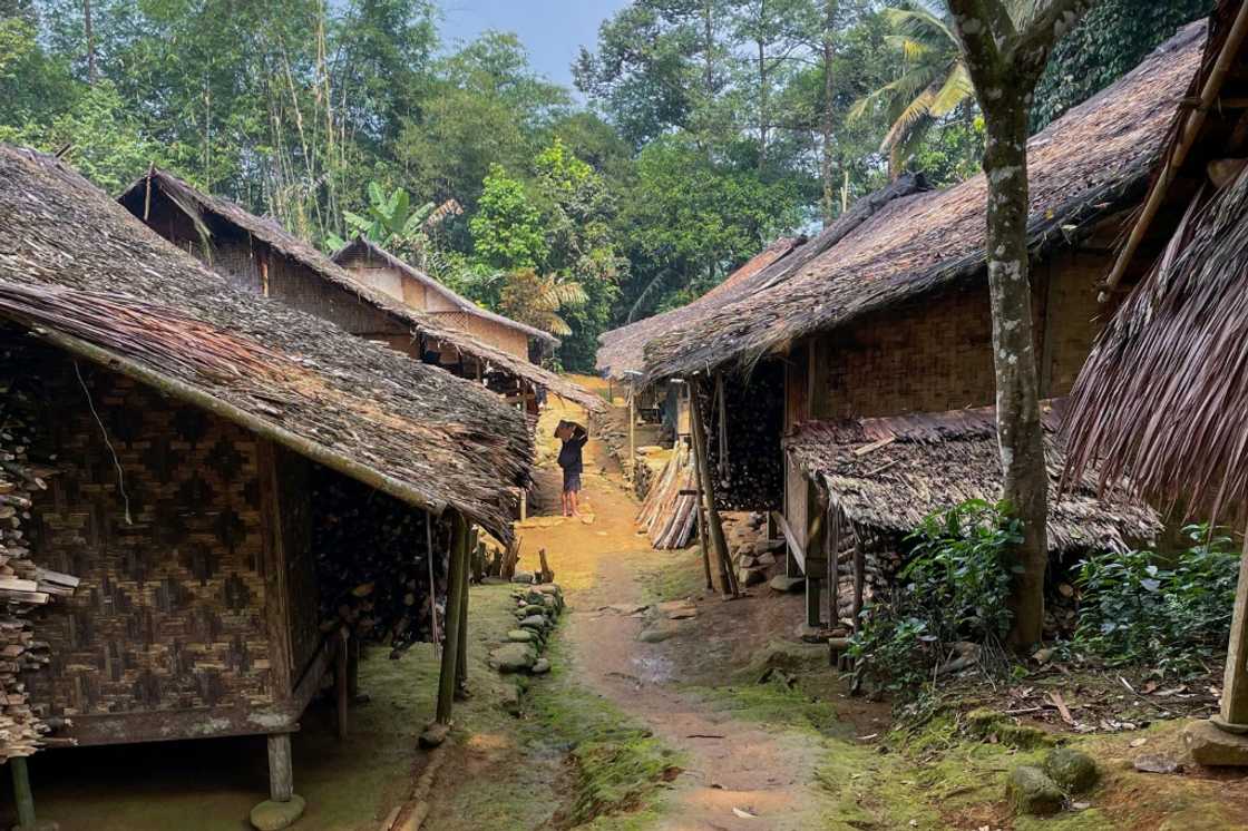 Traditional Baduy tribal houses in the Indonesian village of Kanekes, Banten province Traditional Baduy tribal houses in the Indonesian village of Kanekes, Banten province