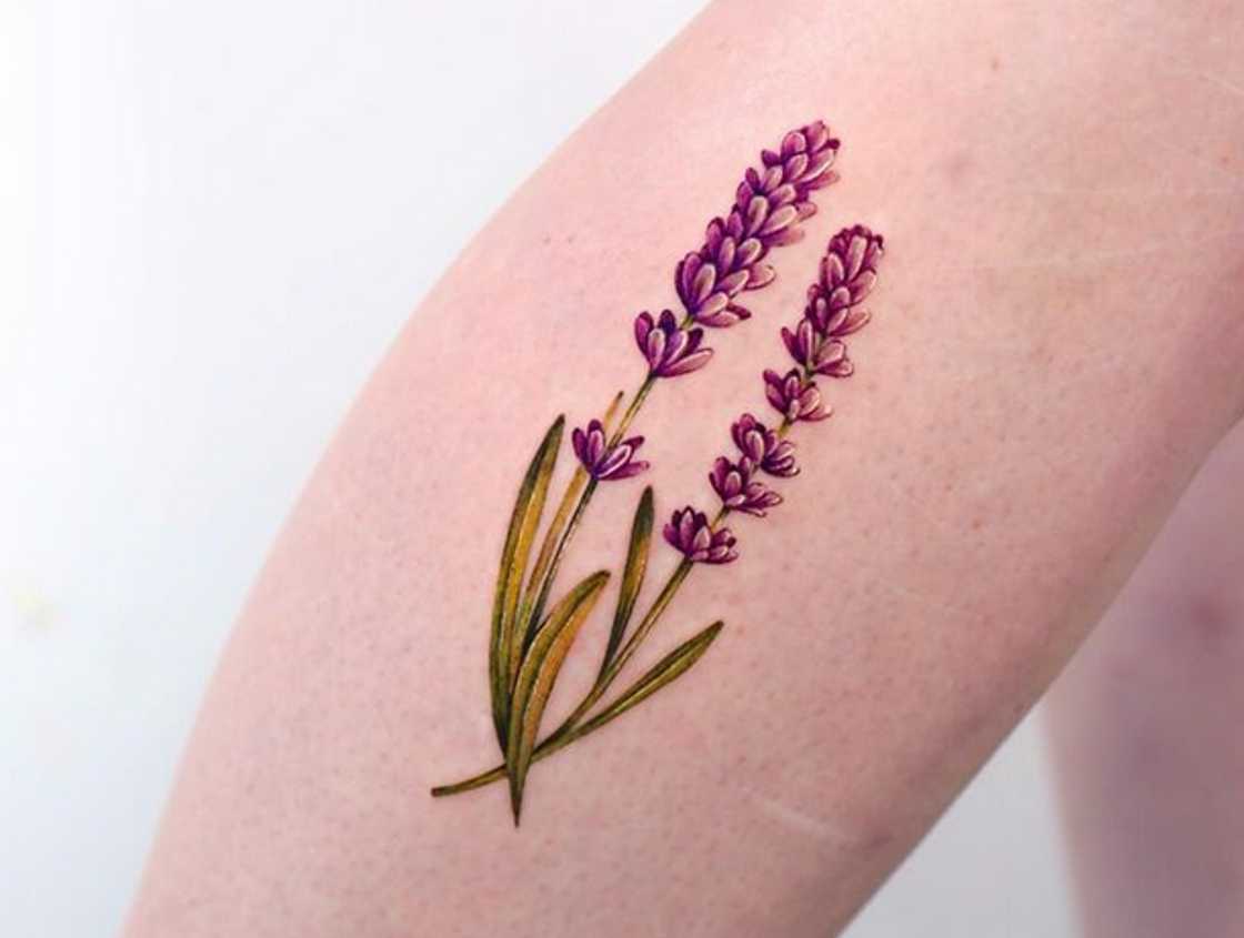 The lavender tattoo