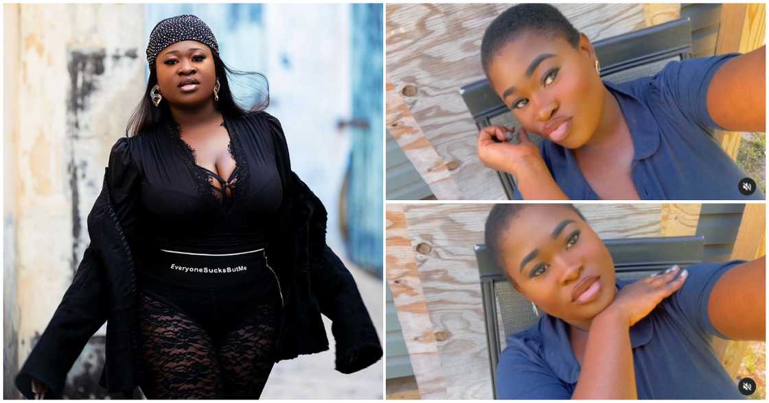 Sista Afia Sista Afia