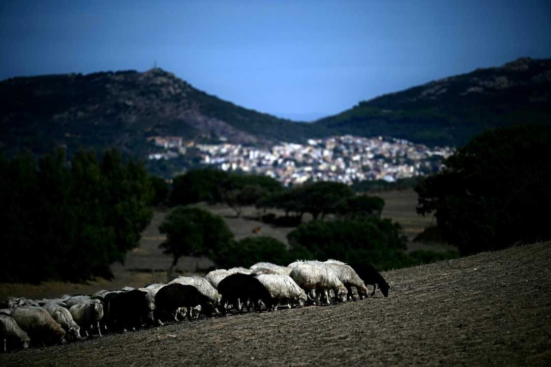 Experts say herds should be vaccinated earlier in the year