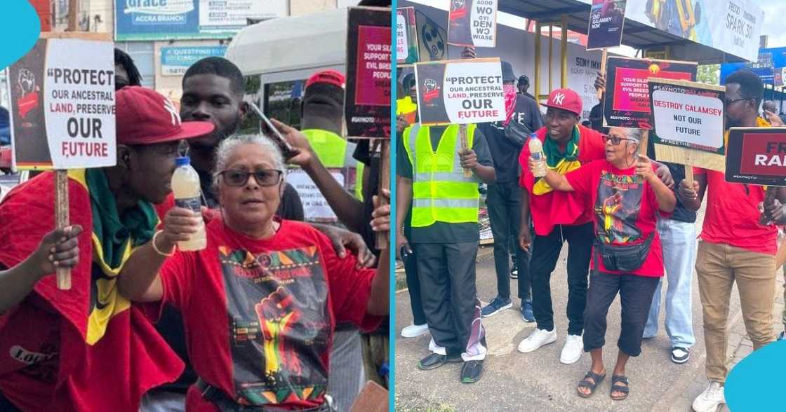 Stop Galamsey, Grandma, Free The Citizens, protest, anti-galamsey, Naa Densua