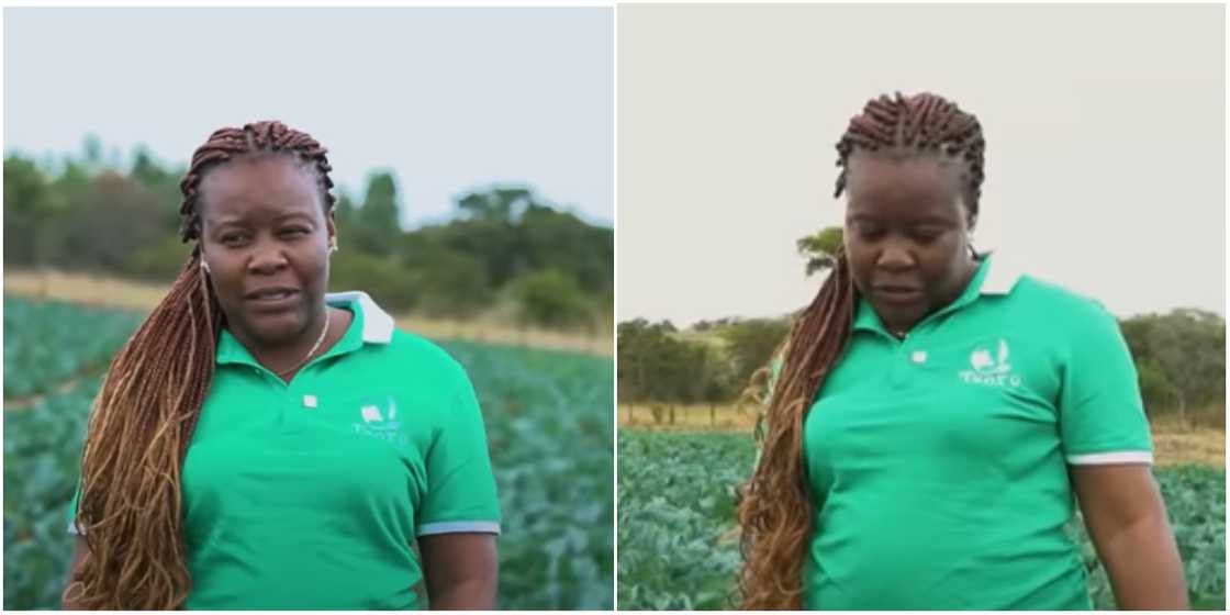 Michelle Gwatimba started farming after a heart break Michelle Gwatimba started farming after a heart break