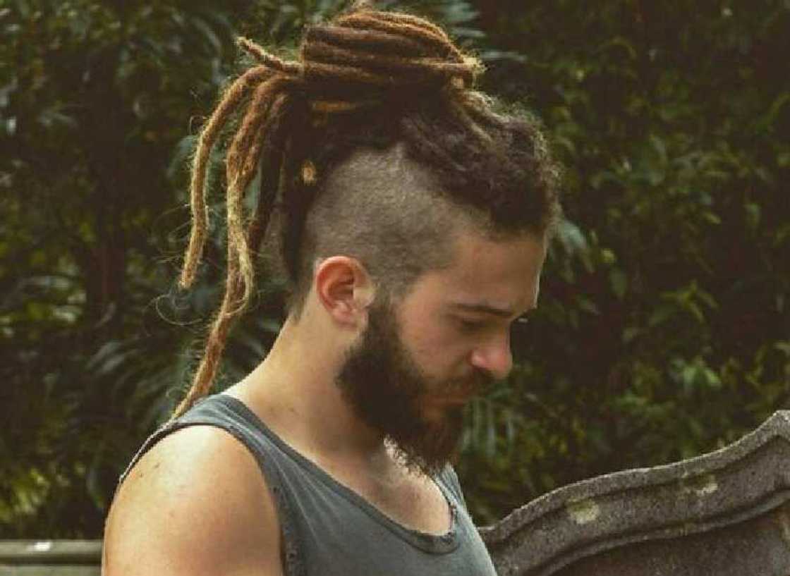 15 cool Viking dreadlocks to wake the warrior inside you - YEN.COM.GH