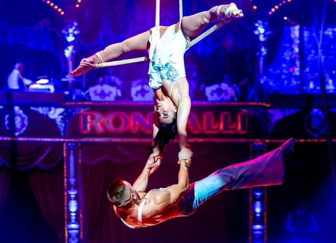 Spectators say the absence of live animals have become a draw in itself to Roncalli's shows Spectators say the absence of live animals have become a draw in itself to Roncalli's shows