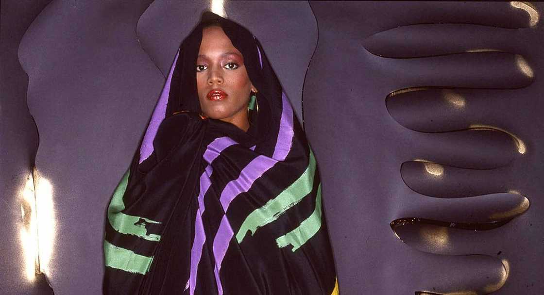 robert de niro's children robert de niro's children