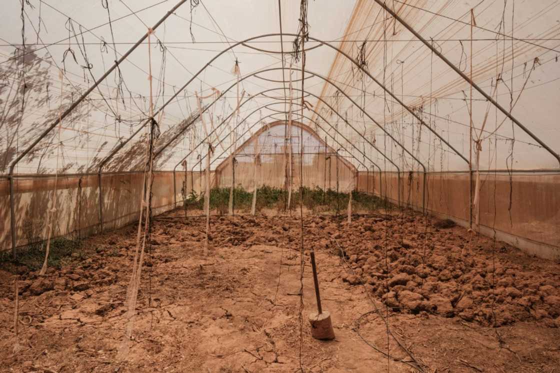 African leaders said wealthy countries responsible for most CO2 emissions should have attended the summit African leaders said wealthy countries responsible for most CO2 emissions should have attended the summit