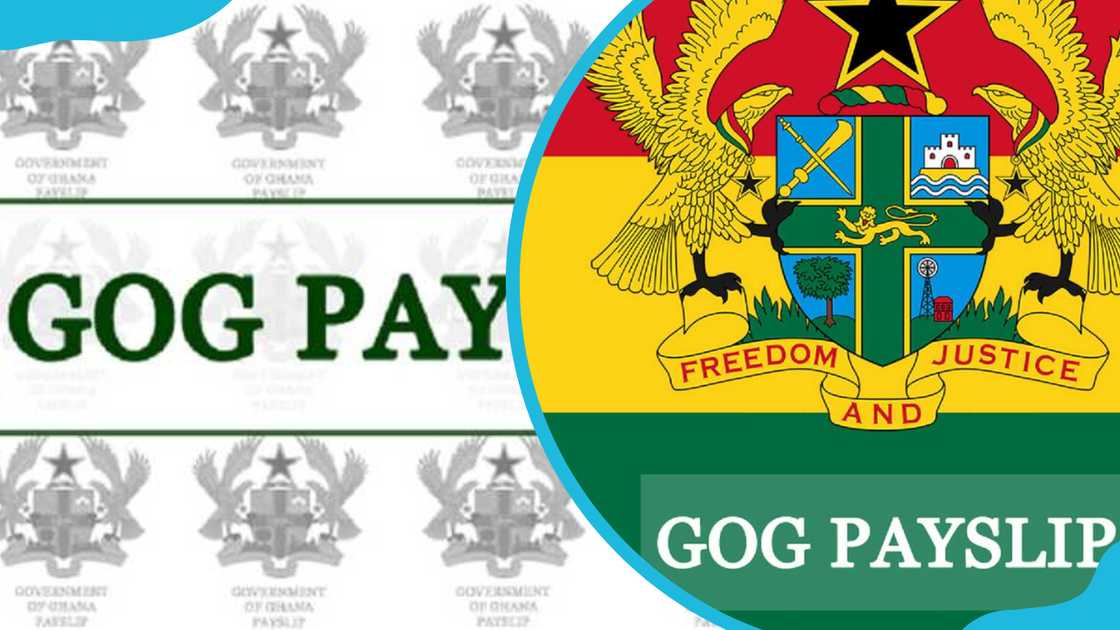 GOG payslip banner and logo