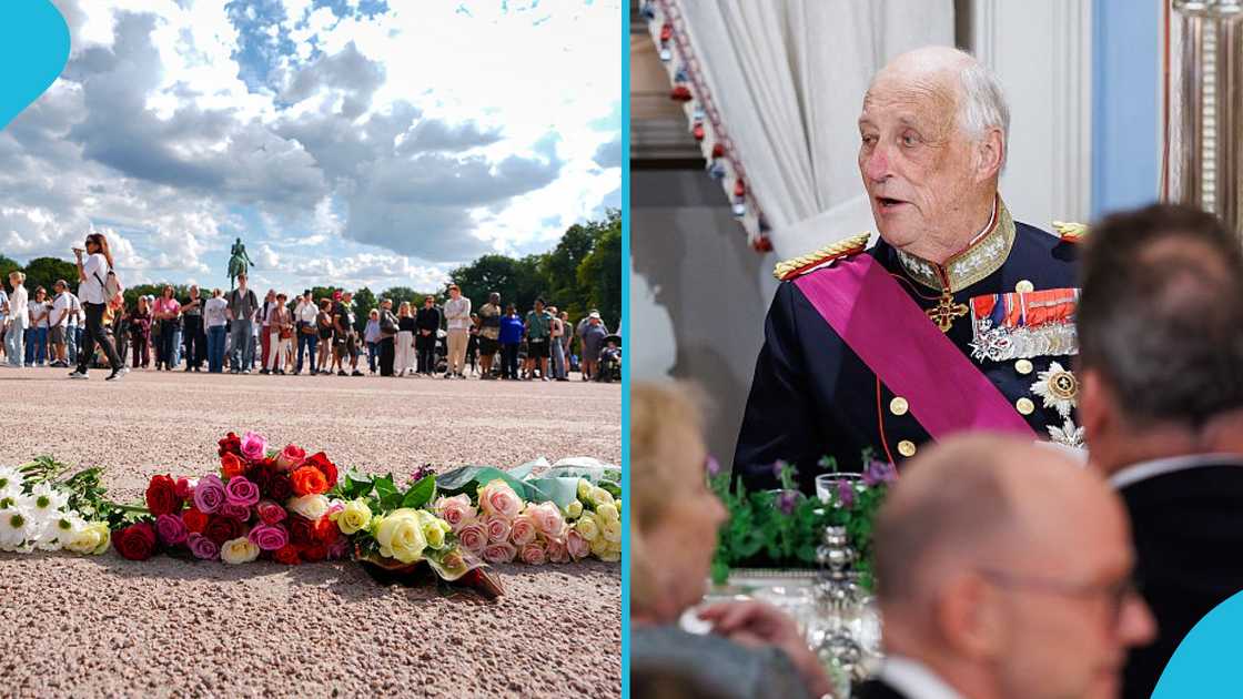 King Harald V, Norway King, Illness