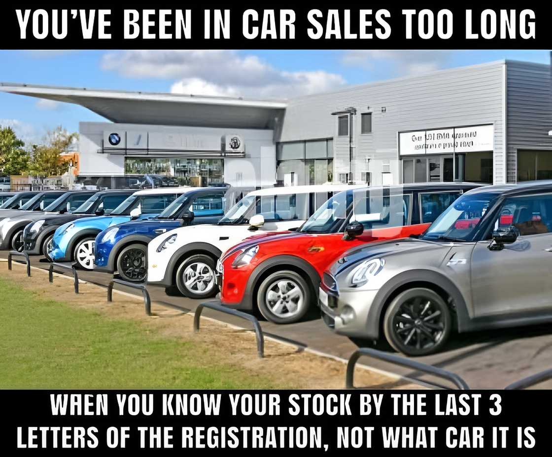 Sales memes