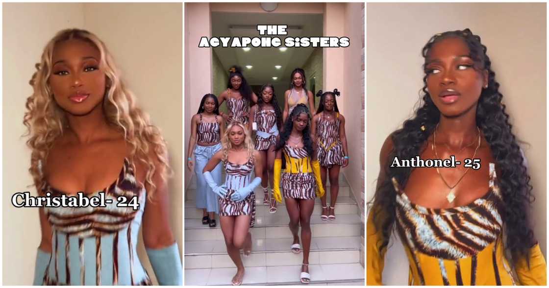 Kennedy Agyapong's 7 gorgeous daughters