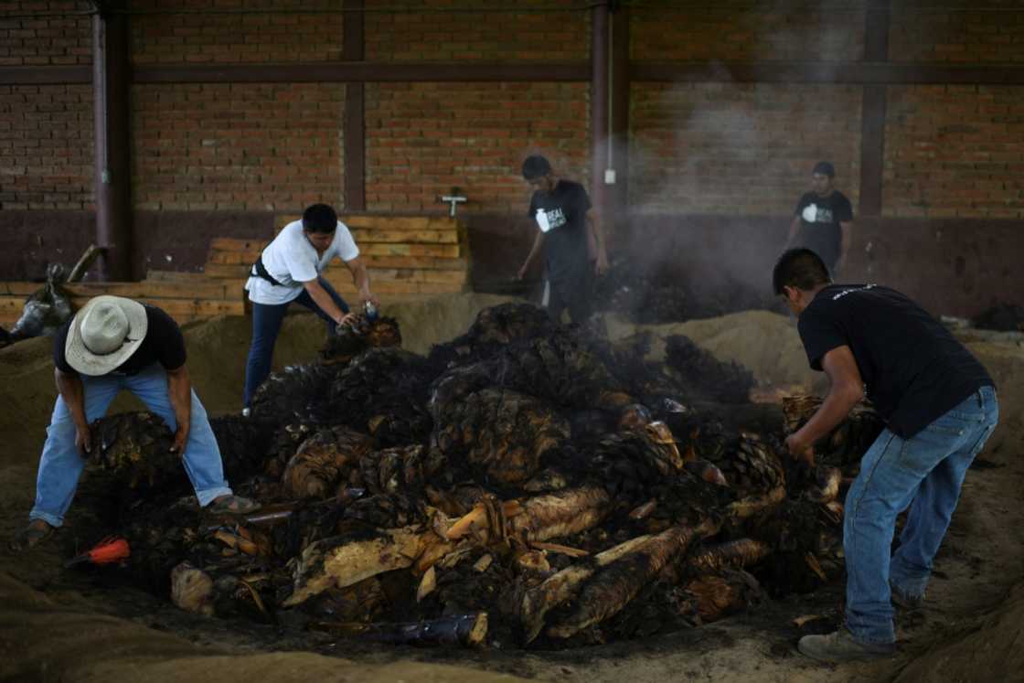 Workers cook agave hearts at the Real Minero mezcal factory in Mexico's Oaxaca State Workers cook agave hearts at the Real Minero mezcal factory in Mexico's Oaxaca State