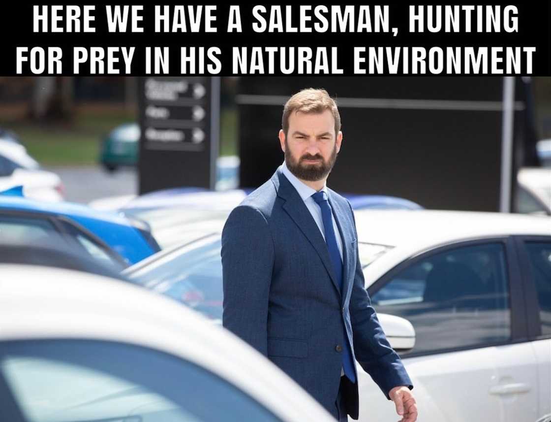 Sales memes