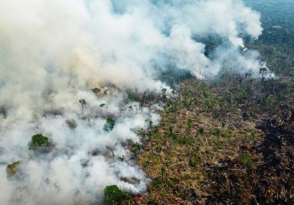 All three nations have vast tropical rainforests threatened by logging and agriculture