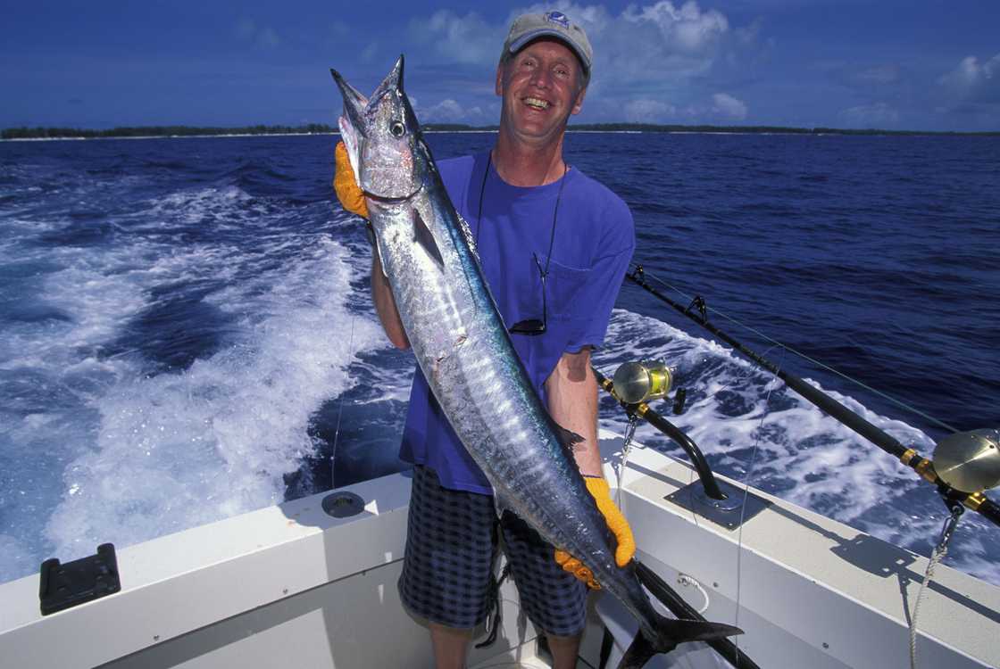 A fisherman holding a wahoo catch