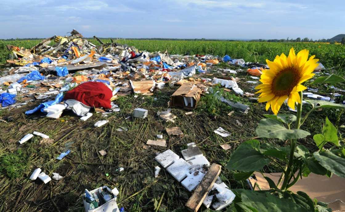 Wreckage from flight MH17 was strewn across sunflower fields in eastern Ukraine Wreckage from flight MH17 was strewn across sunflower fields in eastern Ukraine