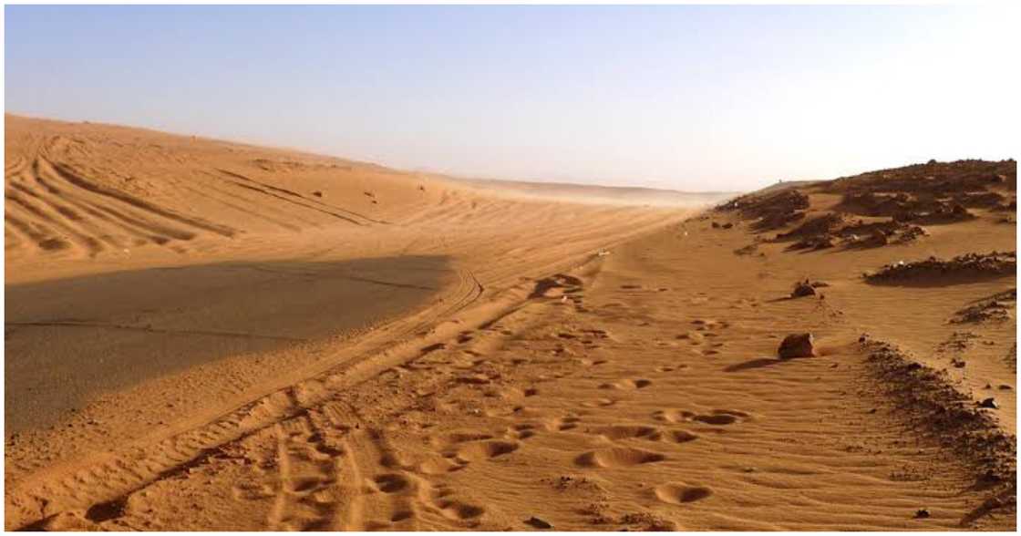 Libyan Desert