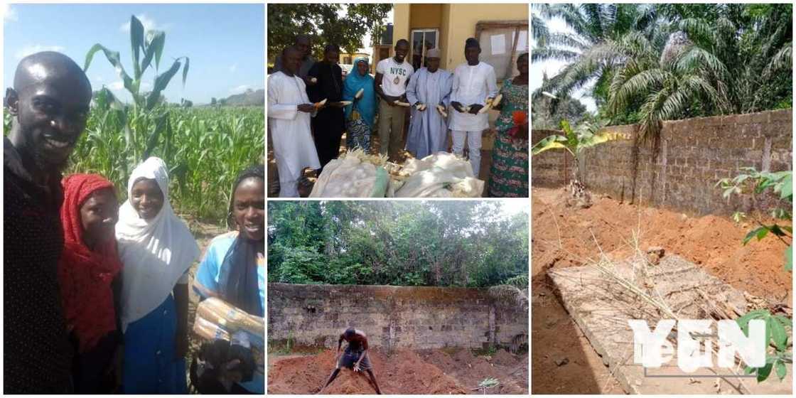 Chiemezie Ezeani: Another Nigerian Graduate who Has Taken Farming as a Full Time Occupation, Shares His Story Chiemezie Ezeani: Another Nigerian Graduate who Has Taken Farming as a Full Time Occupation, Shares His Story